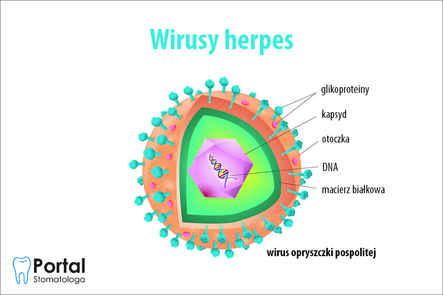Wirusy herpes
