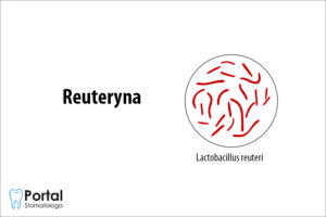 Reutryna