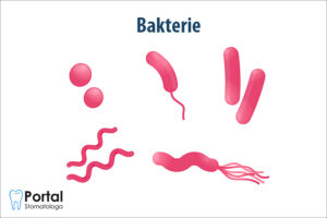 Bakterie