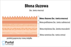 Błona śluzowa