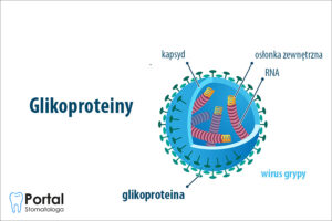 Glikoproteiny