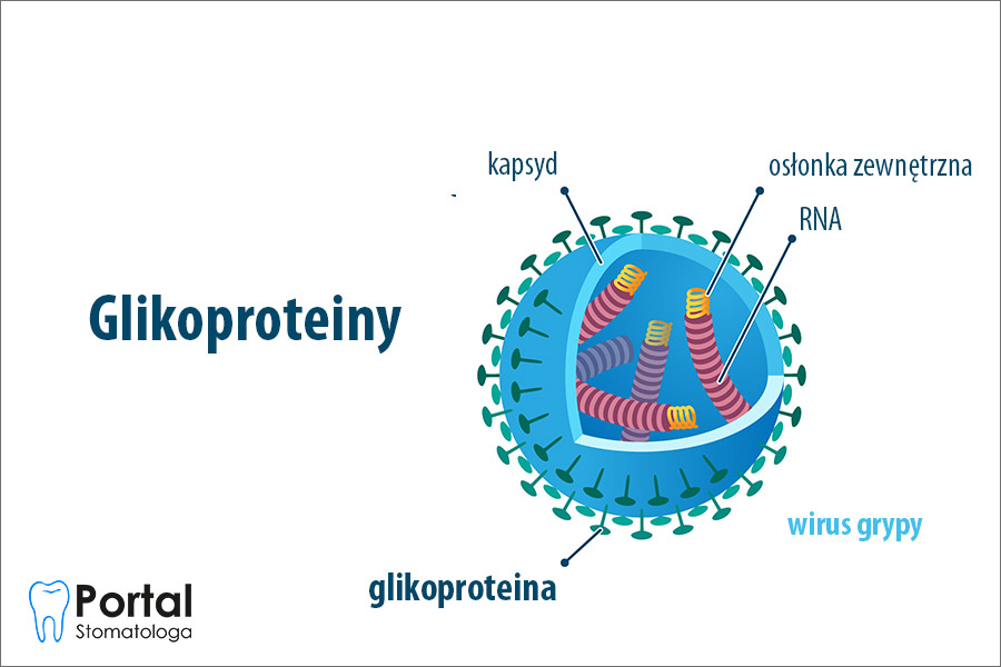 Glikoproteiny