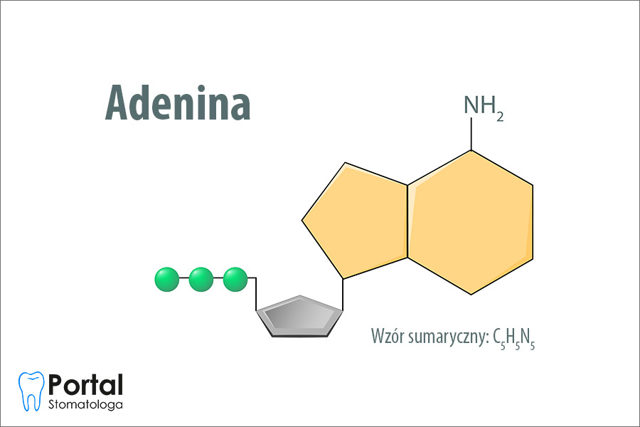 Adenina