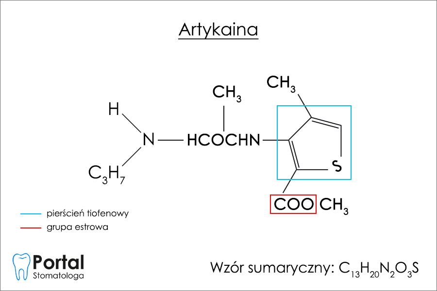 Artykaina (ang. articaine)