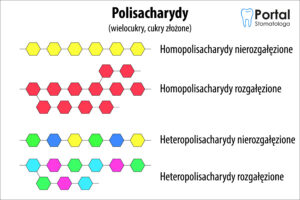 Polisacharydy (wielocukry, cukry złożone)