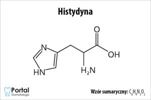 Histydyna