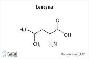 Leucyna