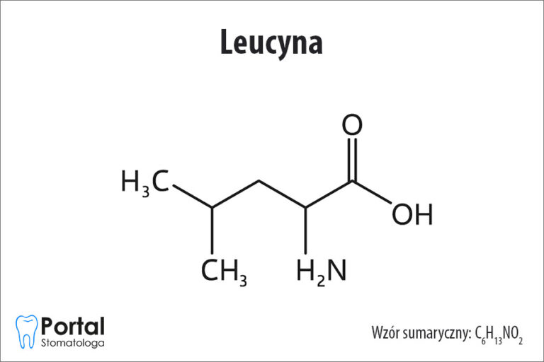 Leucyna