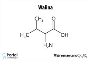 Walina