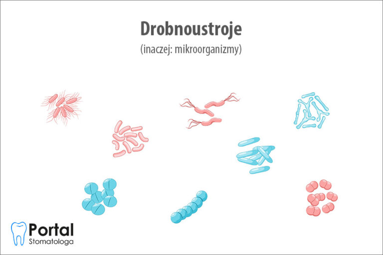 Drobnoustroje (mikroorganizmy)