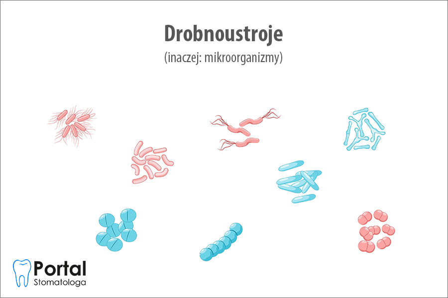Drobnoustroje (mikroorganizmy)