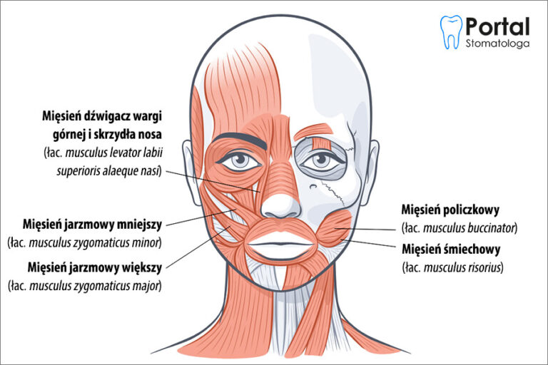 Mięśnie policzków