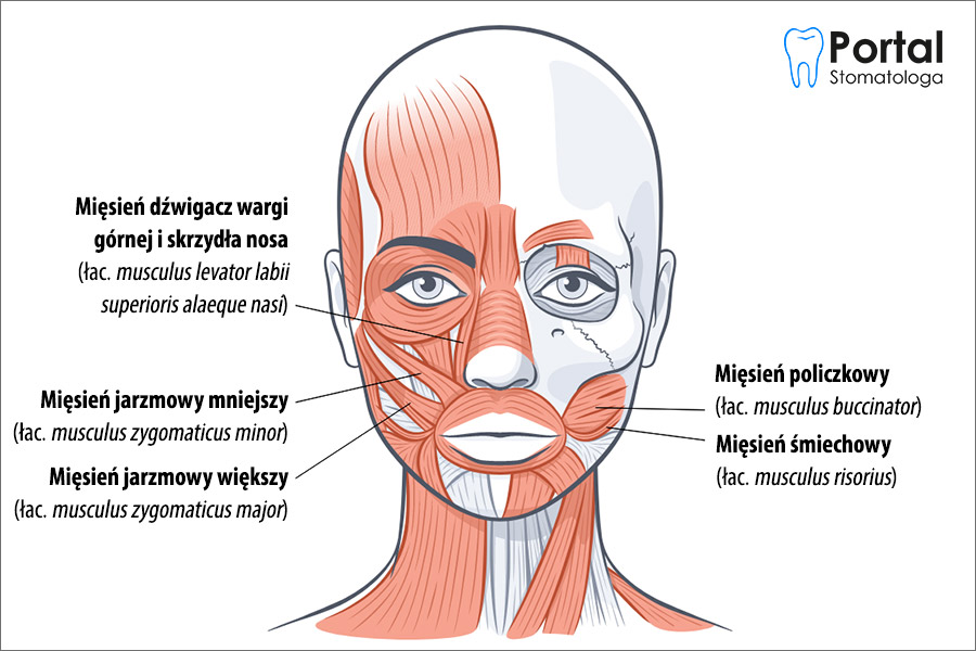 Mięśnie policzków