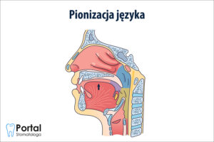 Pionizacja języka