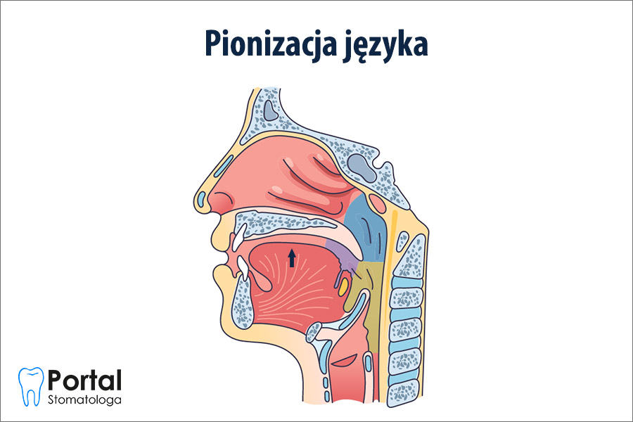 Pionizacja języka