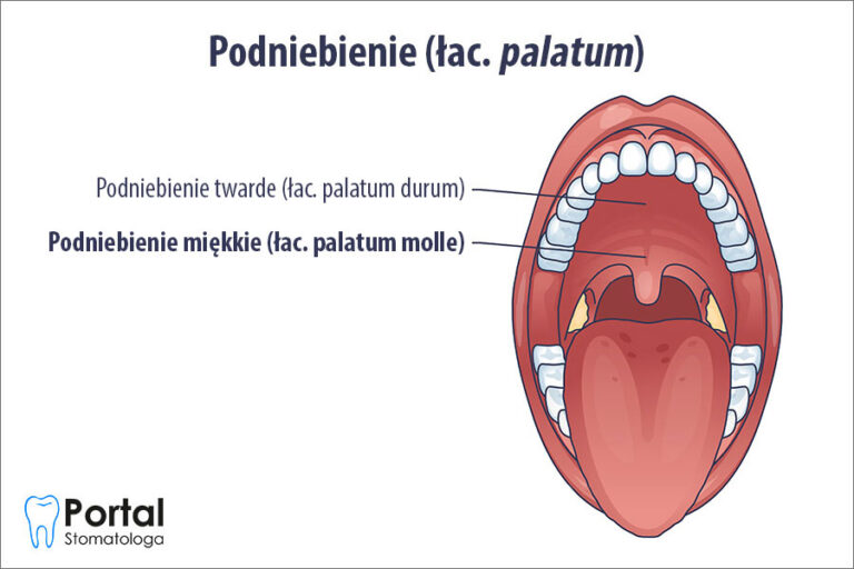 Podniebienie miękkie