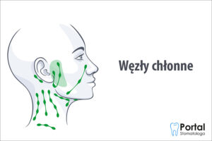 Węzły chłonne