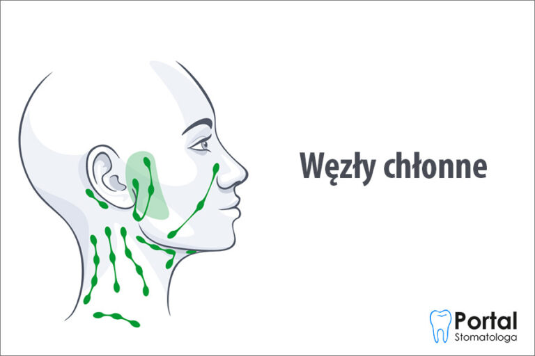 Węzły chłonne
