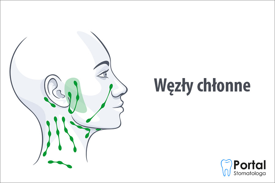 Węzły chłonne